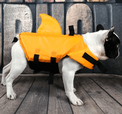 Dog Life Jacket – Safe Comfortable Pet Floatation Vest