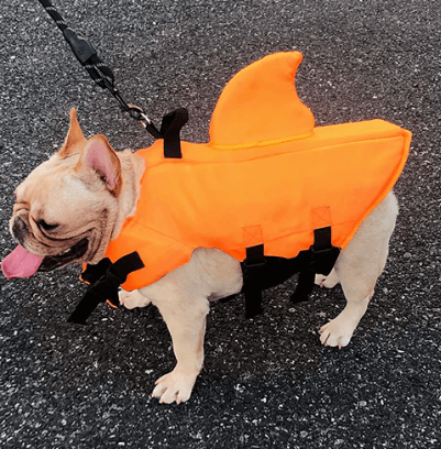 Dog Life Jacket – Safe Comfortable Pet Floatation Vest