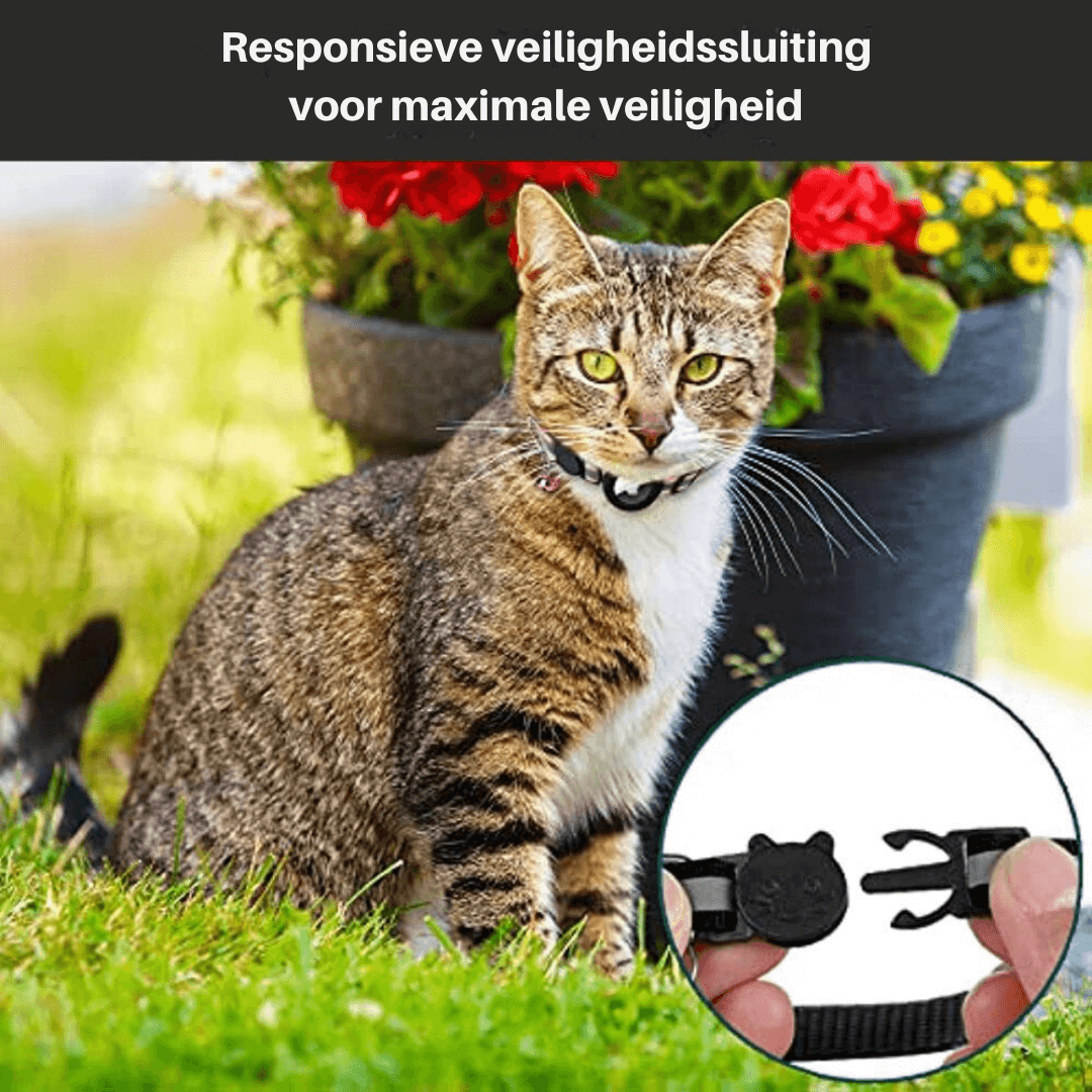 Cat Collar GPS Tracker – Safety Closure Adjustable Pet Accessory