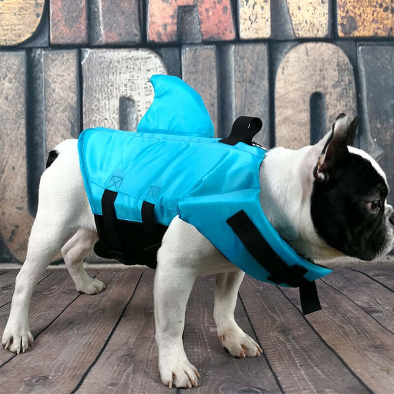 Dog Life Jacket – Safe Comfortable Pet Floatation Vest
