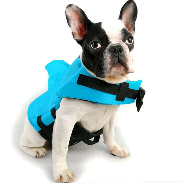 Dog Life Jacket – Safe Comfortable Pet Floatation Vest