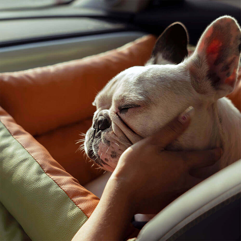 Dog Car Seat Cover XL – Safe Washable Pet Seat Protector