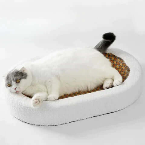 Cat Bed Scratcher Cave - Cozy Durable Cat Furniture