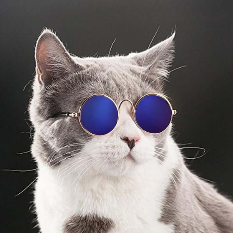 Cat Sunglasses for Pets – Trendy UV Protection Kitty Shades