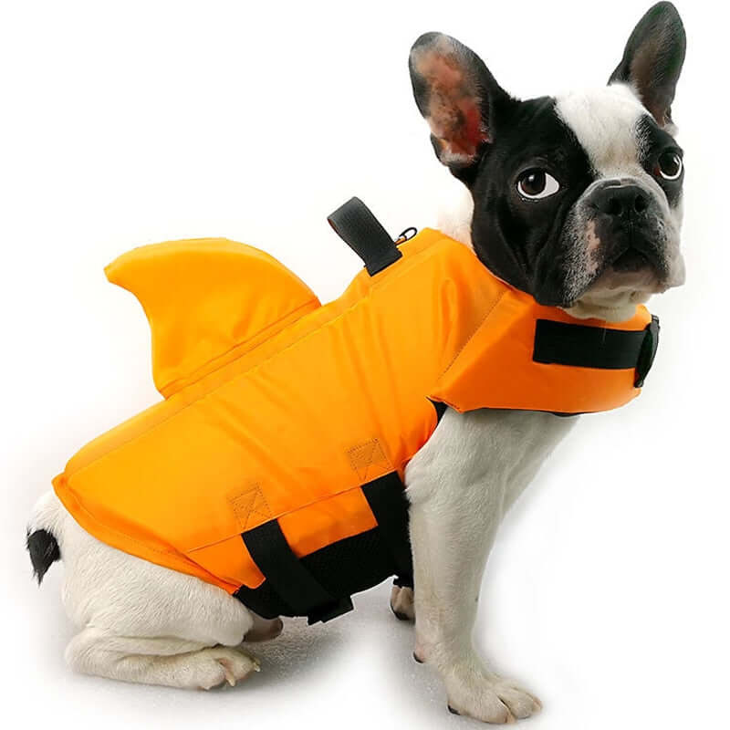 Dog Life Jacket – Safe Comfortable Pet Floatation Vest