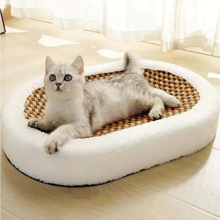 Cat Bed Scratcher Cave - Cozy Durable Cat Furniture