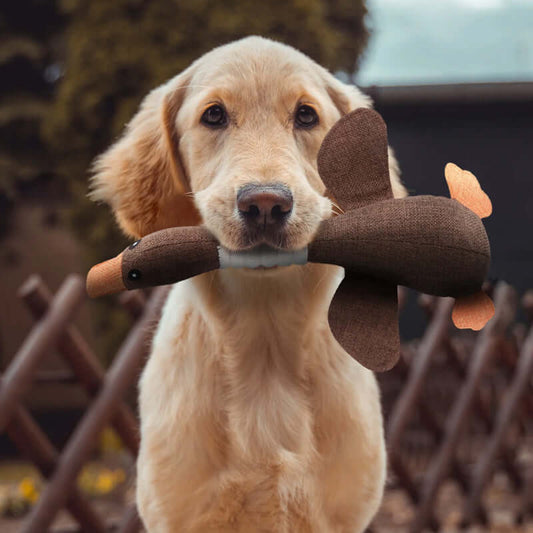Durable Dog Chew Toy – Tough Rubber Pet Plaything