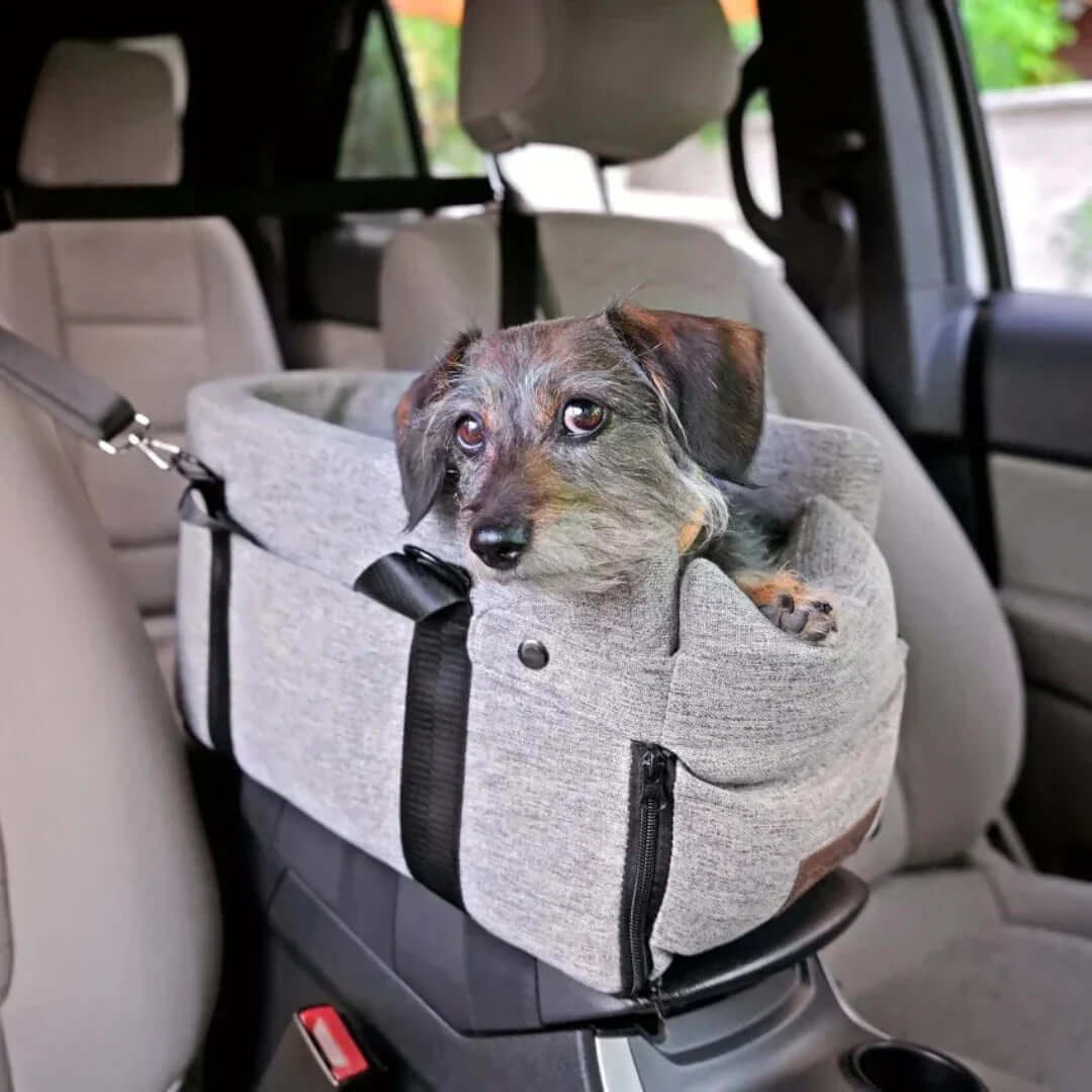 Dog Car Seat Elevated – Pet Booster Seat for Dogs up to 11kg