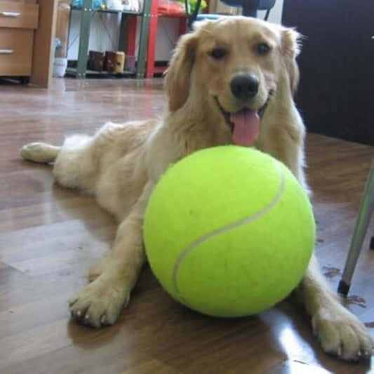 Dog Tennis Ball XXL – Durable 24cm Large Fetch Toy