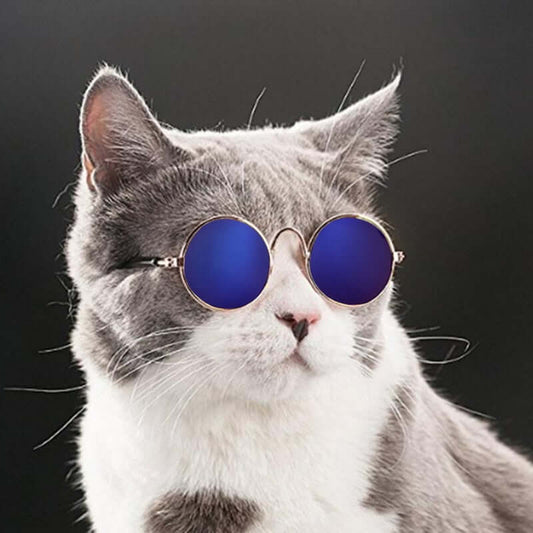 Cat Sunglasses for Pets – Trendy UV Protection Kitty Shades