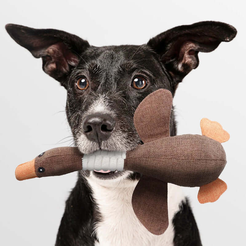 Durable Dog Chew Toy – Tough Rubber Pet Plaything