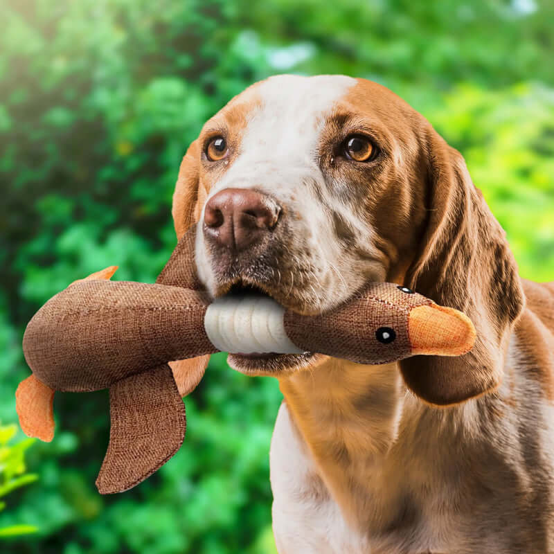 Durable Dog Chew Toy – Tough Rubber Pet Plaything