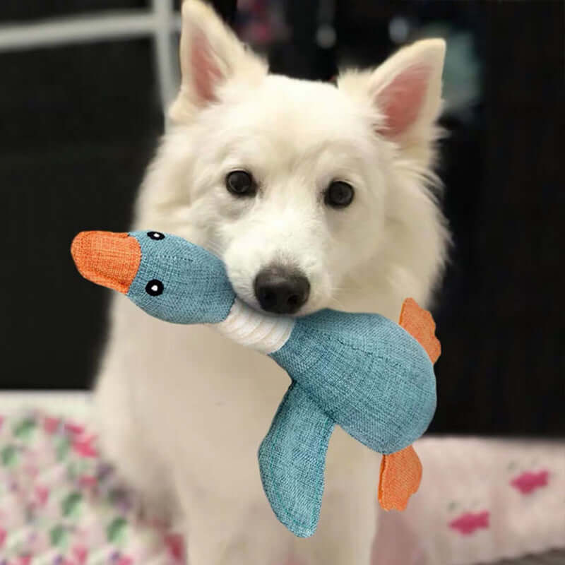 Durable Dog Chew Toy – Tough Rubber Pet Plaything