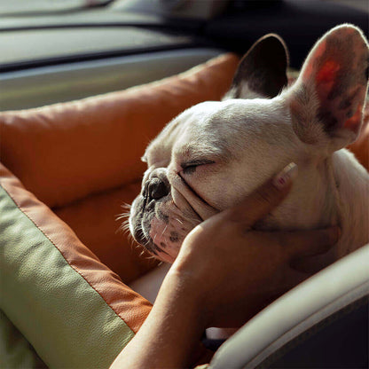 Dog Car Seat Cover XL – Safe Washable Pet Seat Protector
