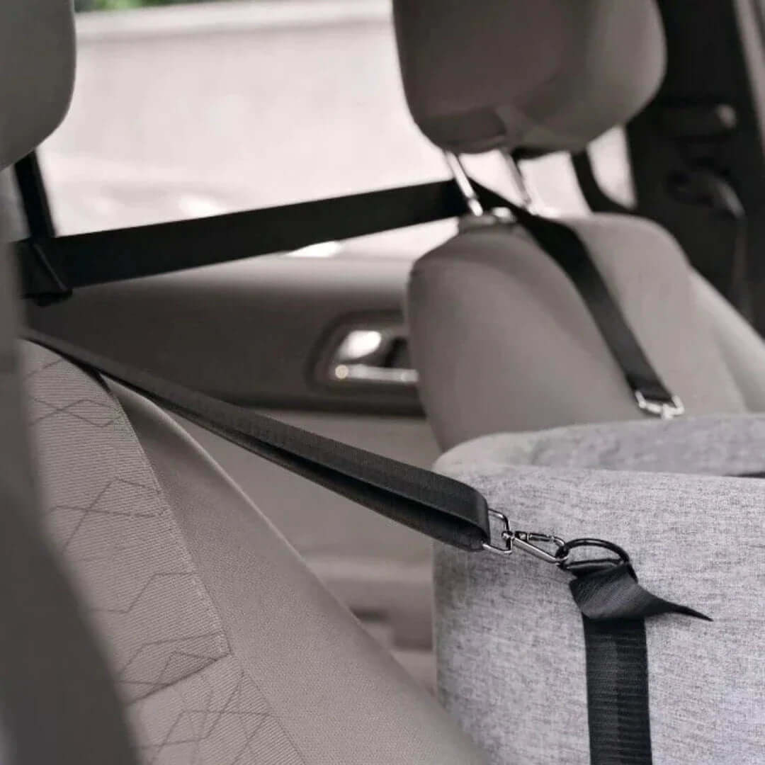 Dog Car Seat Elevated – Pet Booster Seat for Dogs up to 11kg