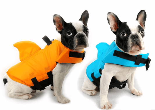 Dog Life Jacket – Safe Comfortable Pet Floatation Vest