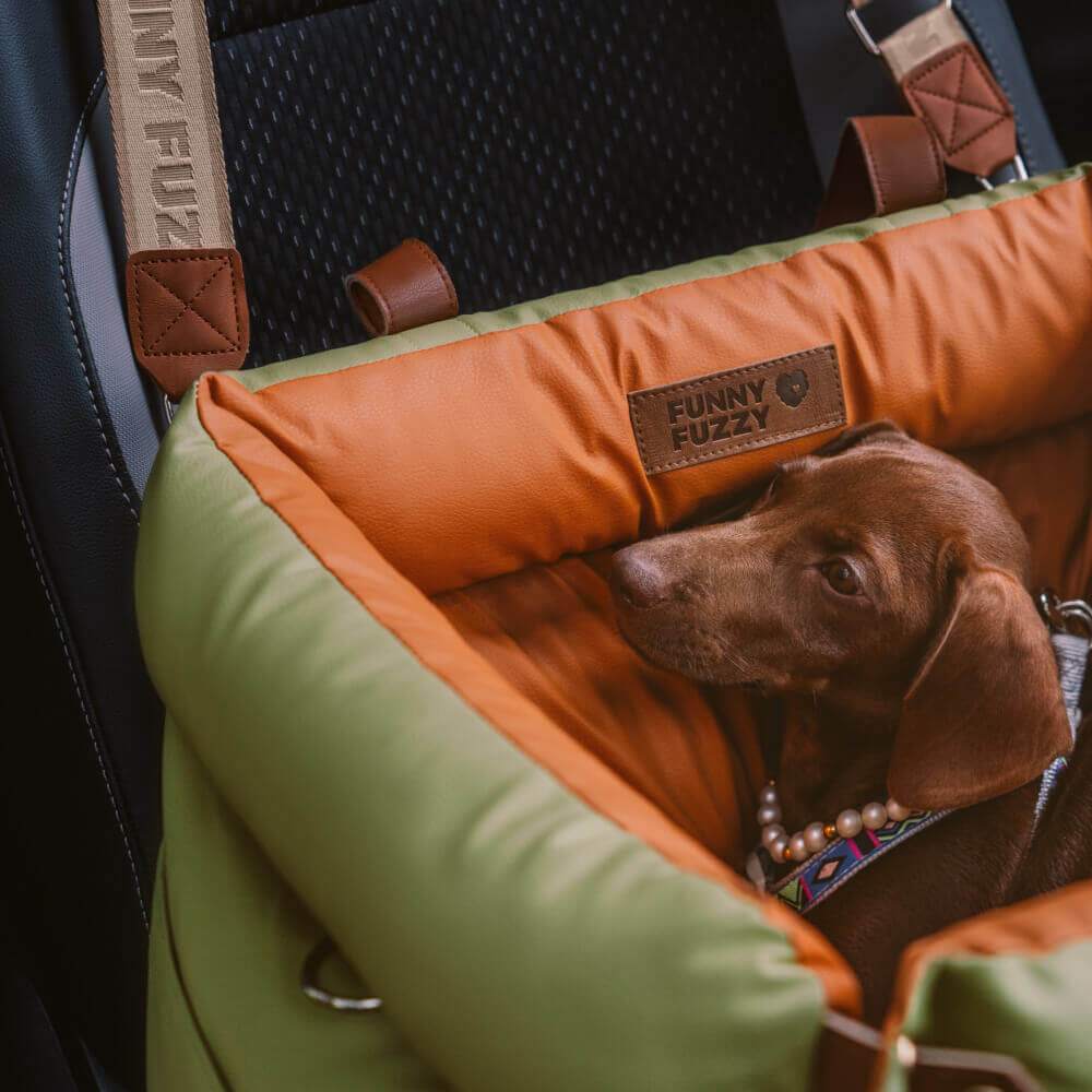 Dog Car Seat Cover XL – Safe Washable Pet Seat Protector